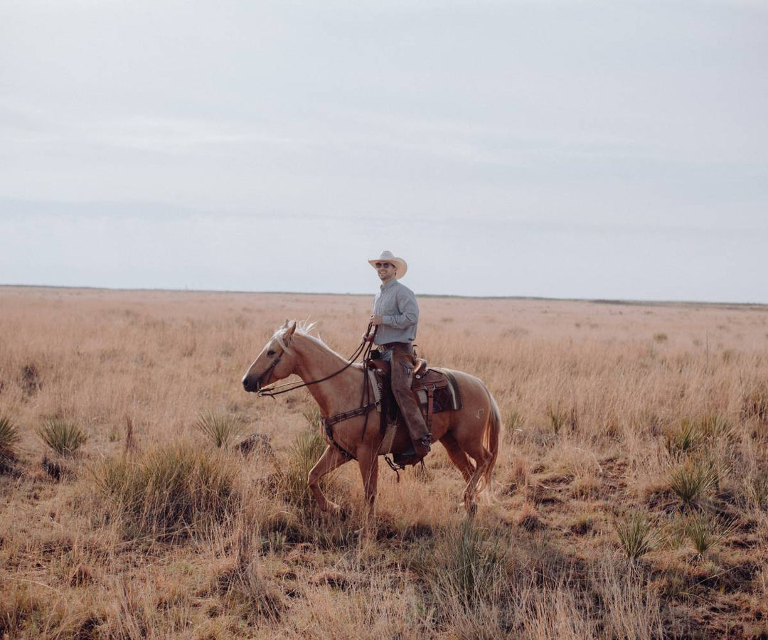 Texas to California: Rediscovering Americana